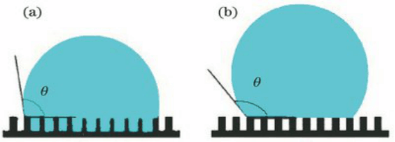    图9(a)Wenzel模型和(b)Cassie-Baxter模型示意图