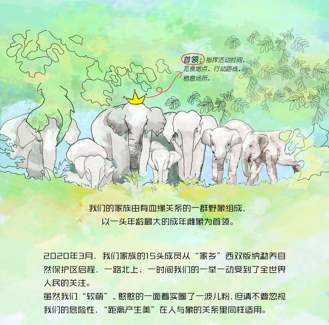 2、野象旅行记-引言
