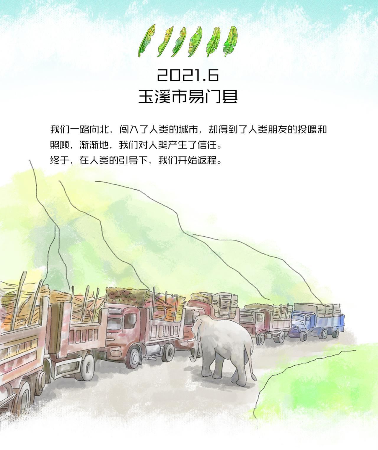 8、野象旅行记2021年6月玉溪市易门县返程