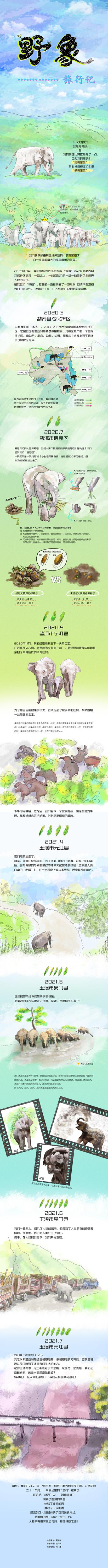 野象旅行记